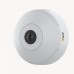 AXIS M3067-P